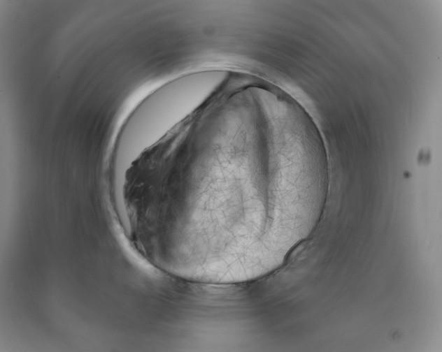 X0000089911152200707271709