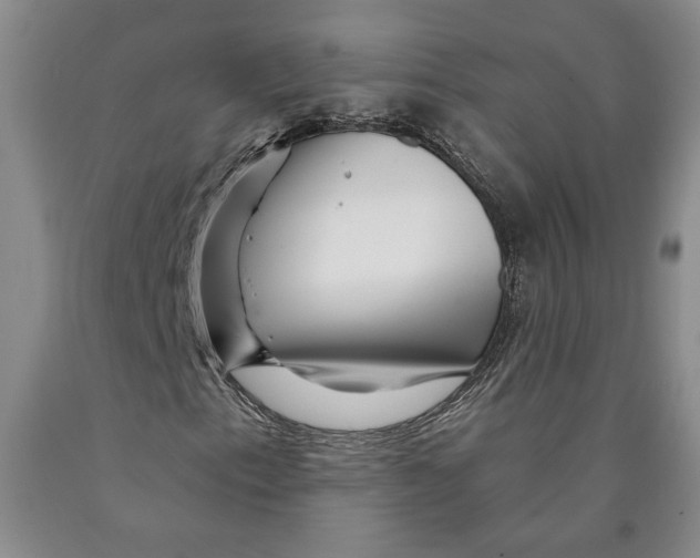 X0000089911153200707271708