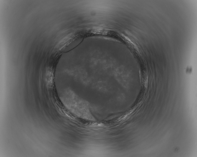 X0000089911154200707271708