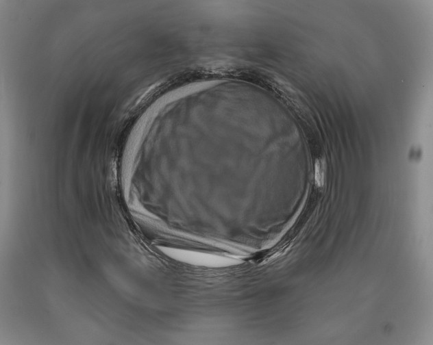 X0000089911155200707271708