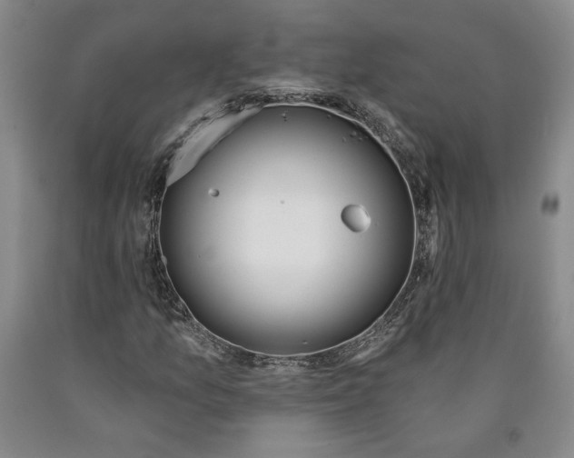 X0000089911157200707271708