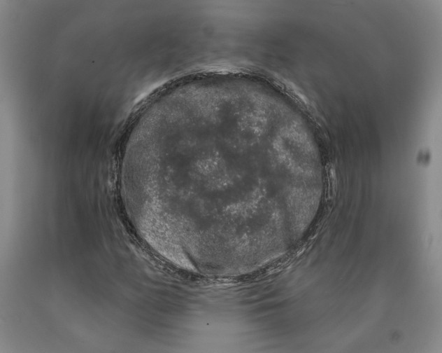 X0000089911158200707271708