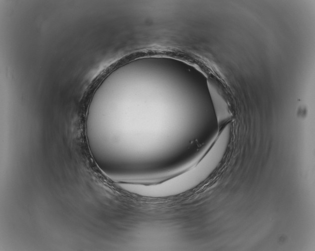 X0000089911160200707271708