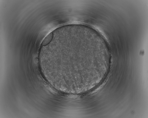 X0000089911170200707271708