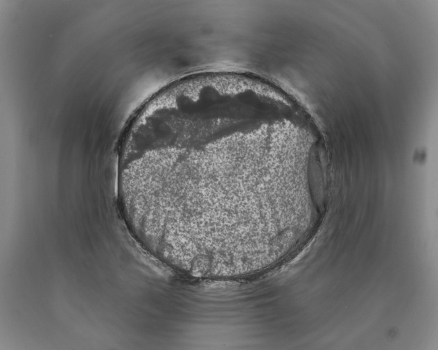 X0000089911171200707271708