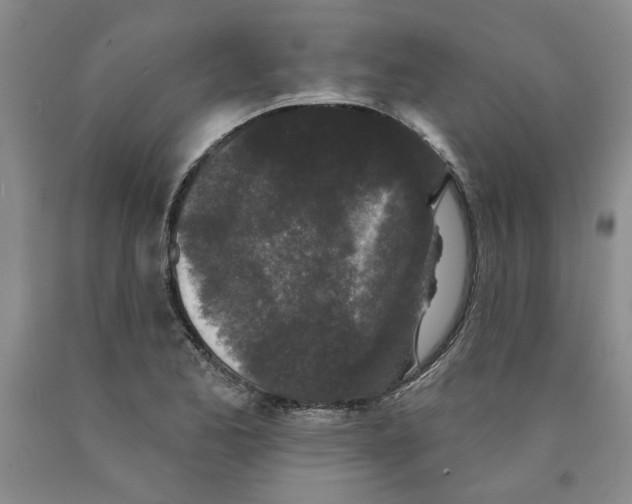 X0000089911173200707271708