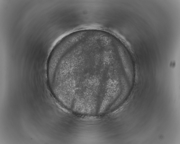 X0000089911174200707271708