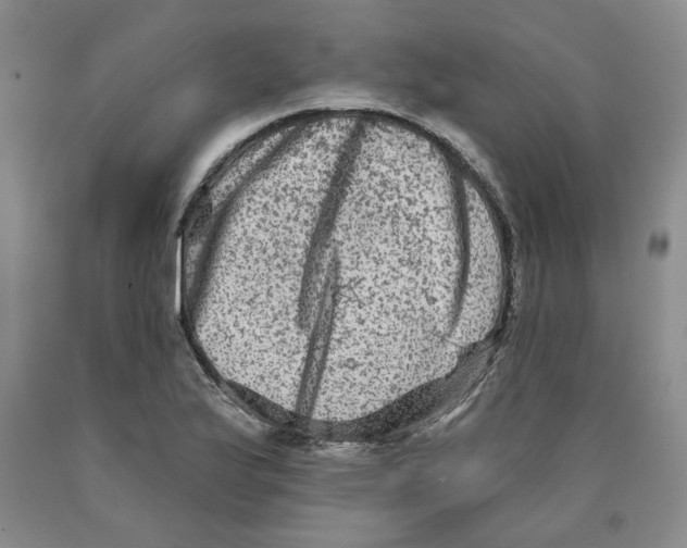 X0000089911175200707271708