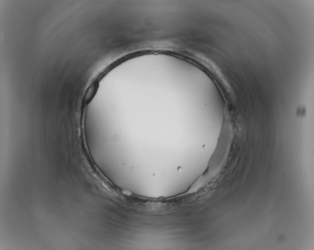 X0000089911176200707271708