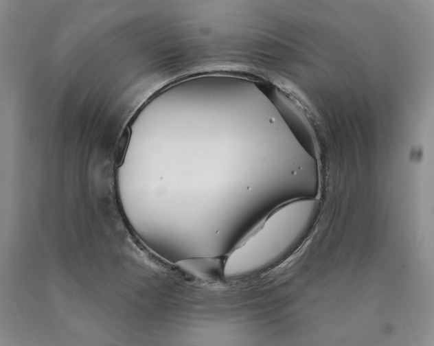 X0000089911177200707271708