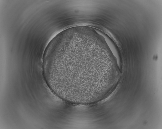 X0000089911178200707271708