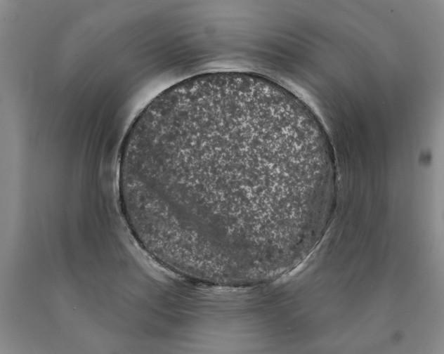 X0000089911179200707271708