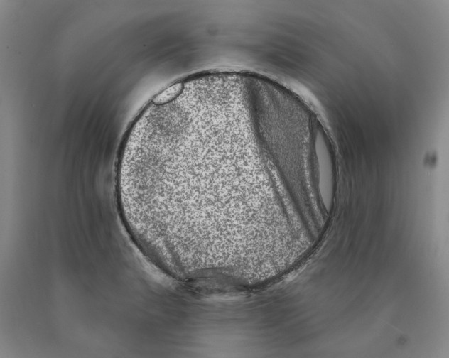 X0000089911183200707271708