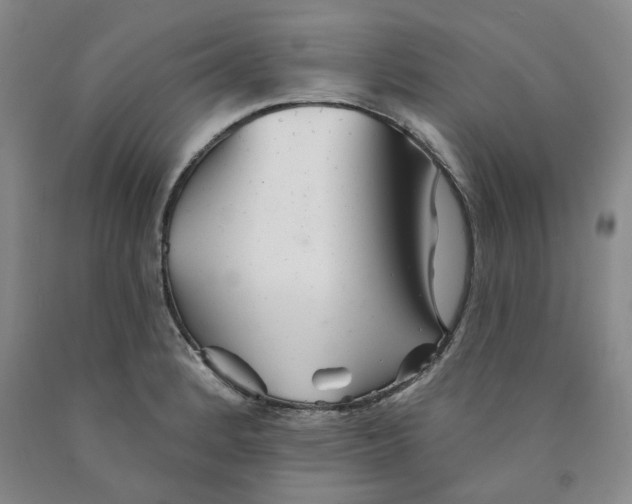 X0000089911184200707271708