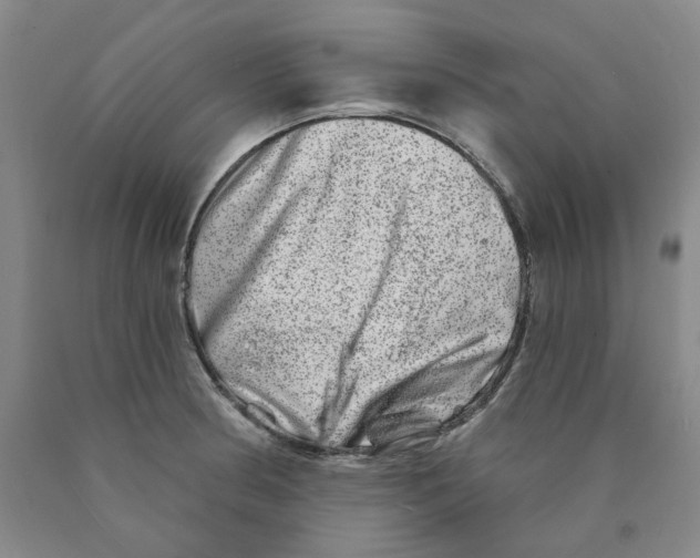 X0000089911186200707271708