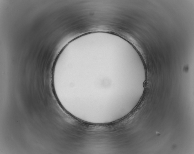 X0000089911187200707271708