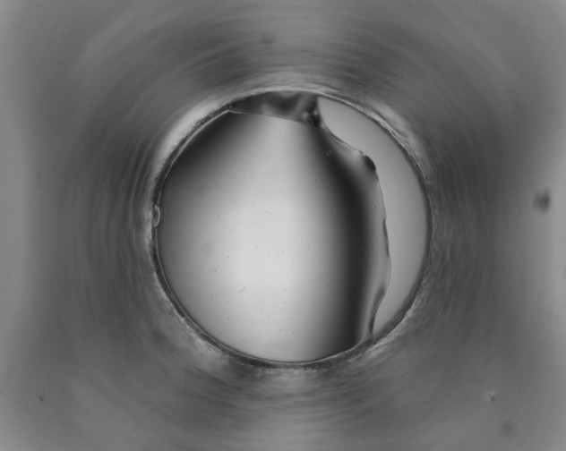 X0000089911188200707271708