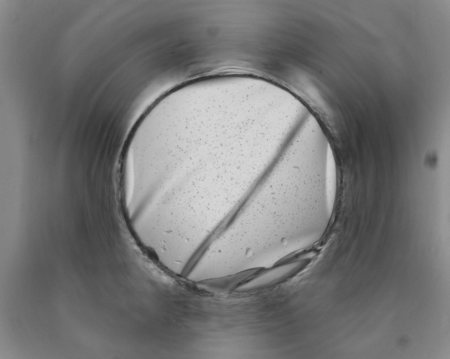 X0000089911190200707271708