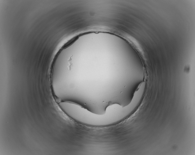 X0000089911192200707271708