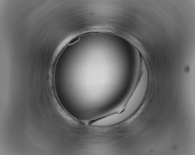 X0000089911196200707271708