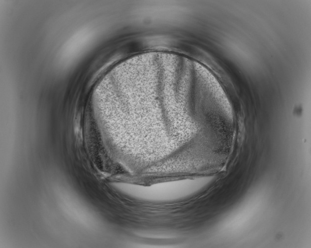 X0000089911198200707271708