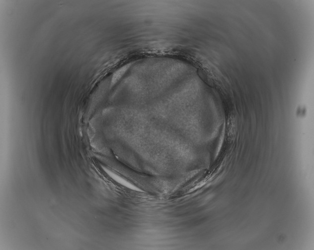 X0000089911202200707271707