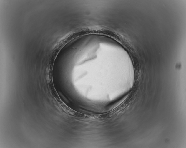 X0000089911205200707271707