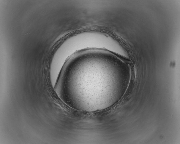 X0000089911206200707271707