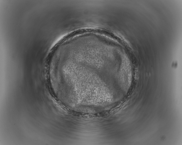 X0000089911208200707271707