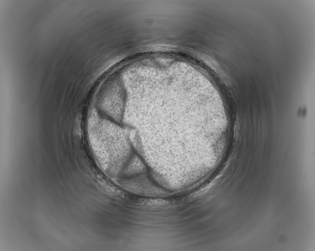 X0000089911209200707271707