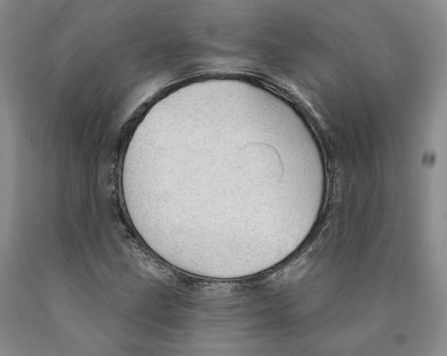 X0000089911211200707271707