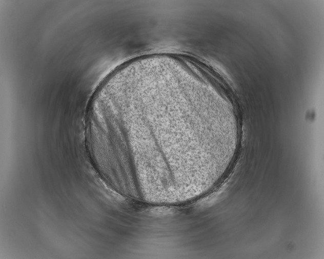 X0000089911212200707271707