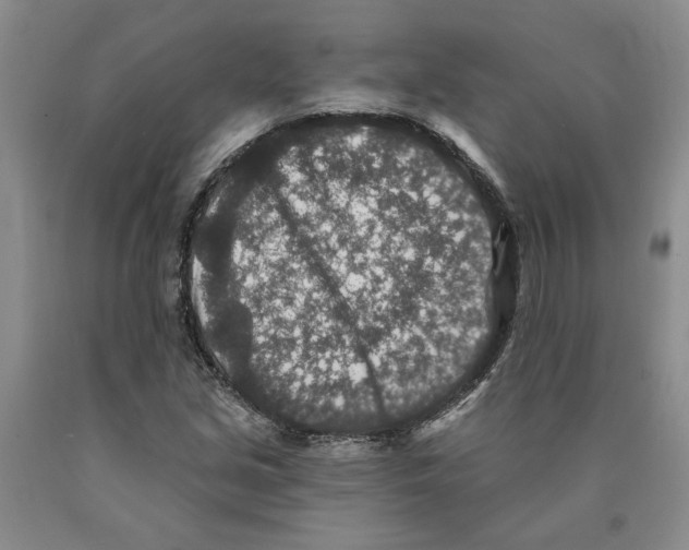 X0000089911213200707271707