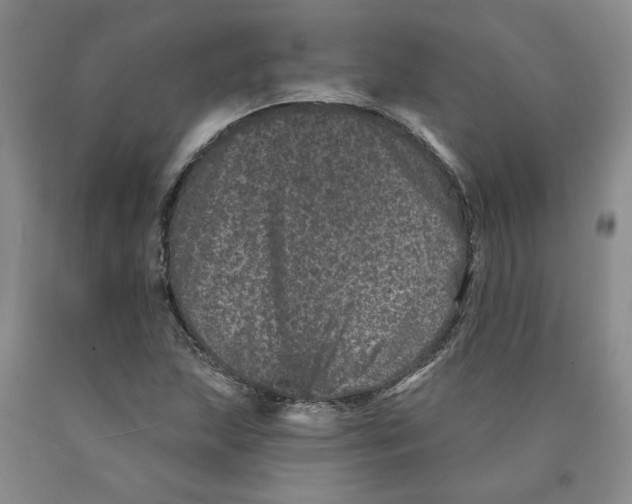 X0000089911215200707271707