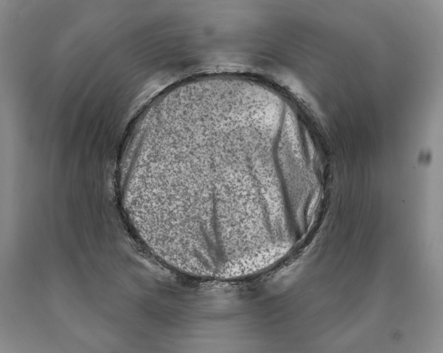 X0000089911217200707271707