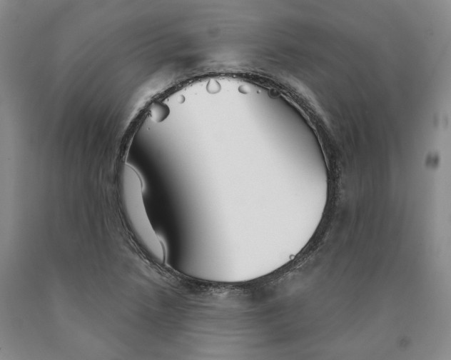 X0000089911218200707271707