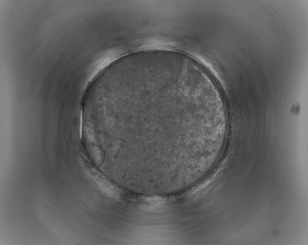 X0000089911219200707271707