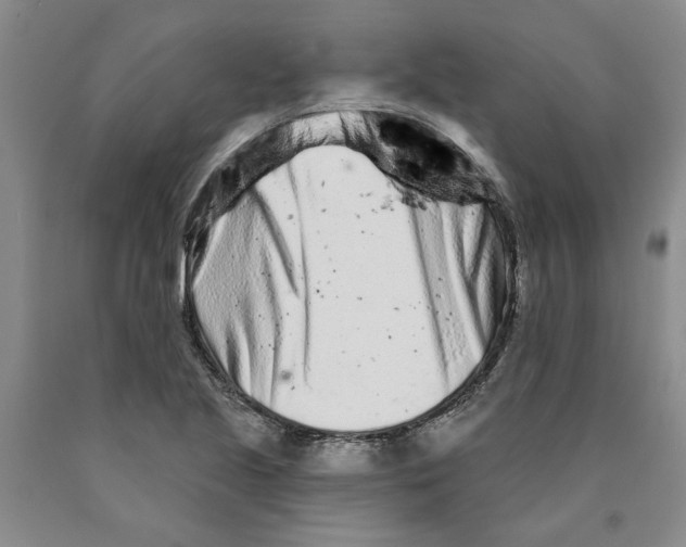 X0000089911221200707271707