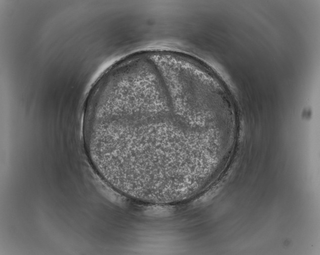 X0000089911224200707271707