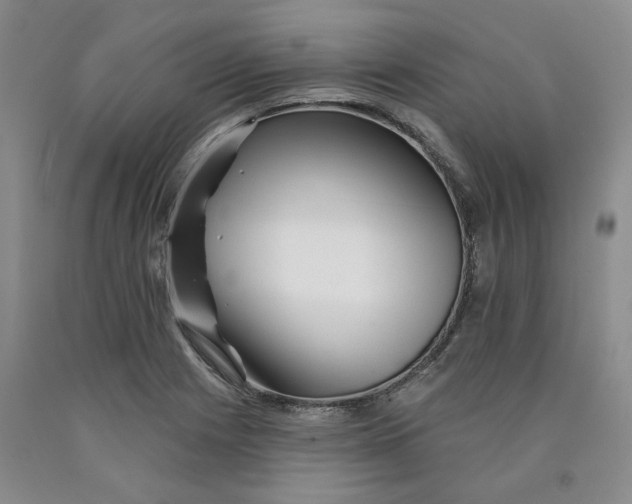 X0000089911225200707271707