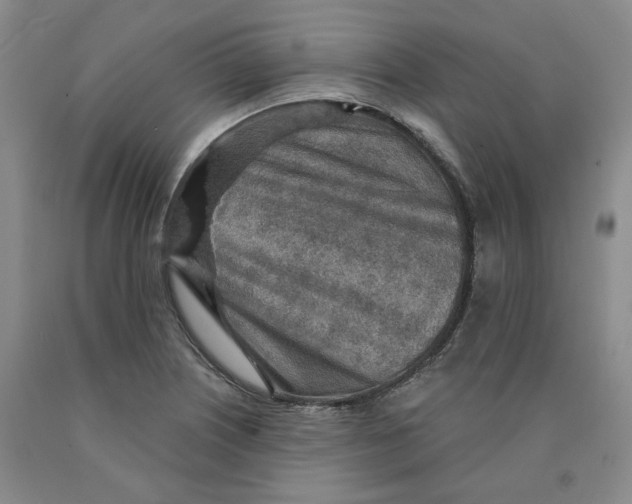 X0000089911226200707271707