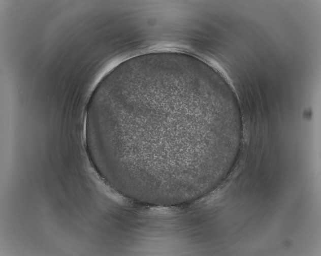 X0000089911227200707271707