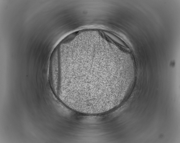 X0000089911228200707271707