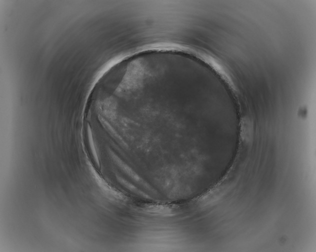 X0000089911229200707271708