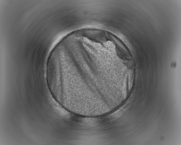 X0000089911232200707271708