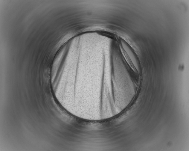 X0000089911233200707271708