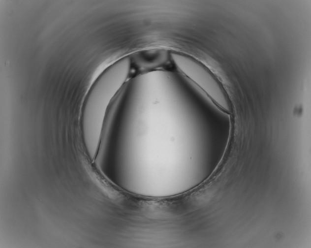 X0000089911234200707271708