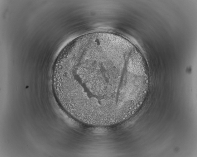 X0000089911235200707271708