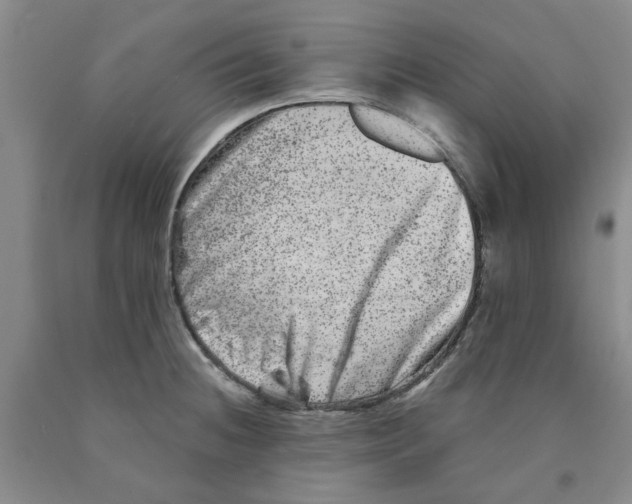 X0000089911236200707271708