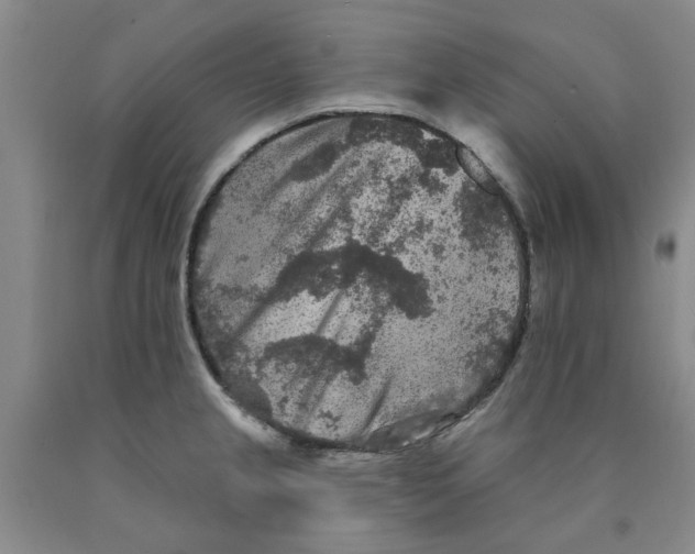 X0000089911237200707271708